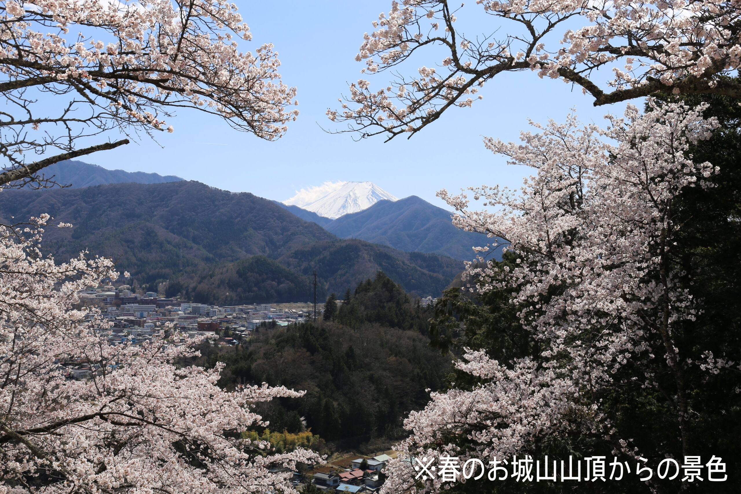 お城山の四季折々の風景