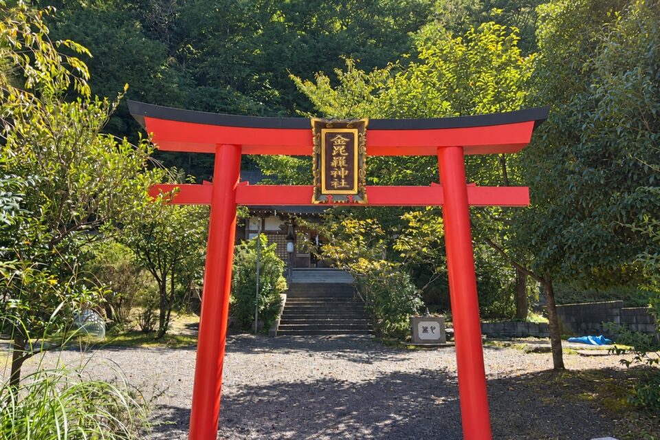 金毘羅神社の赤い鳥居と緑に囲まれた境内