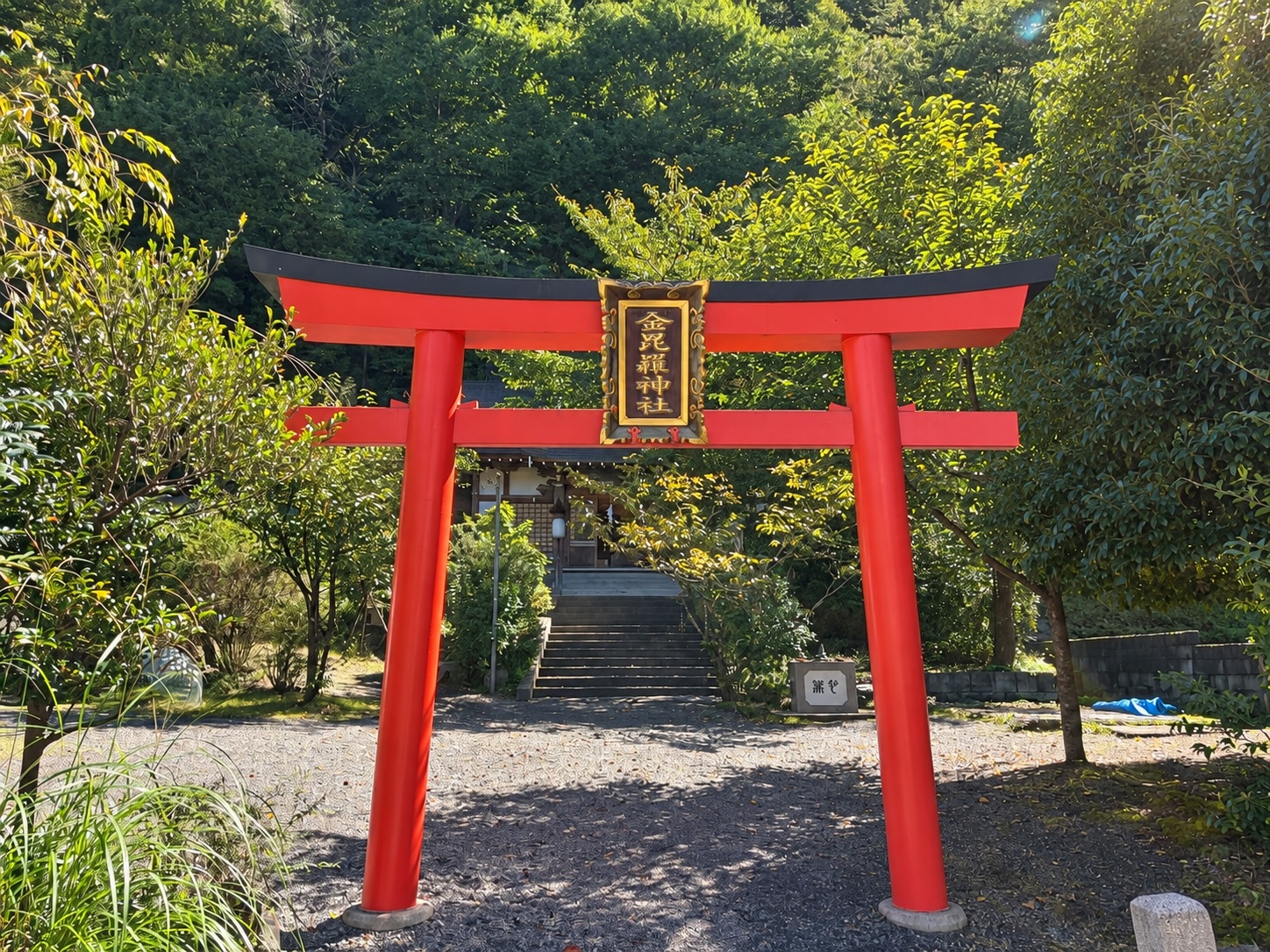 金毘羅神社の赤い鳥居と緑に囲まれた境内